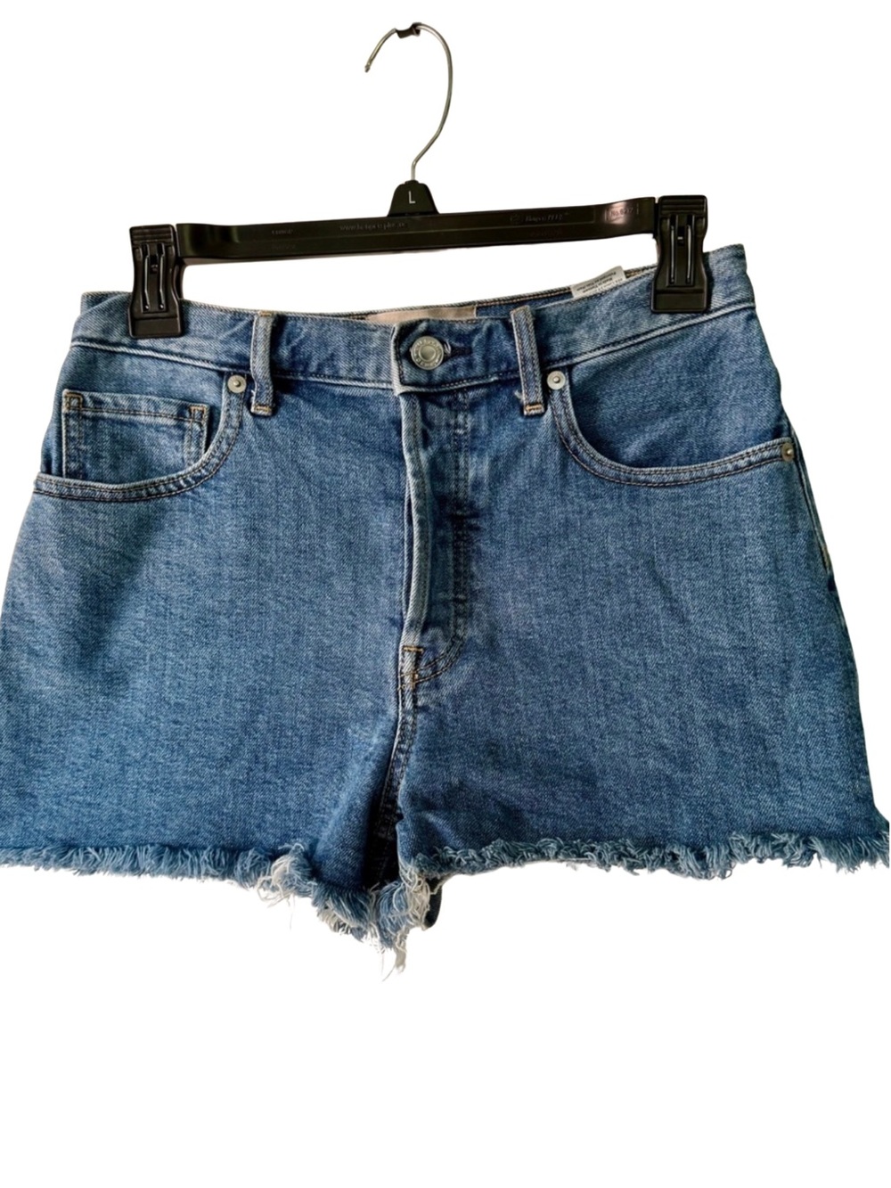 Everlane Cheeky Shorts High-Rise Frayed Denim